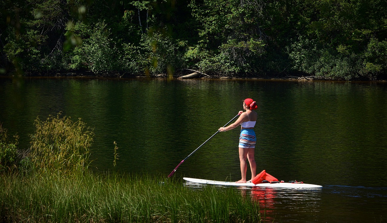 board, woman, nature-4436029.jpg