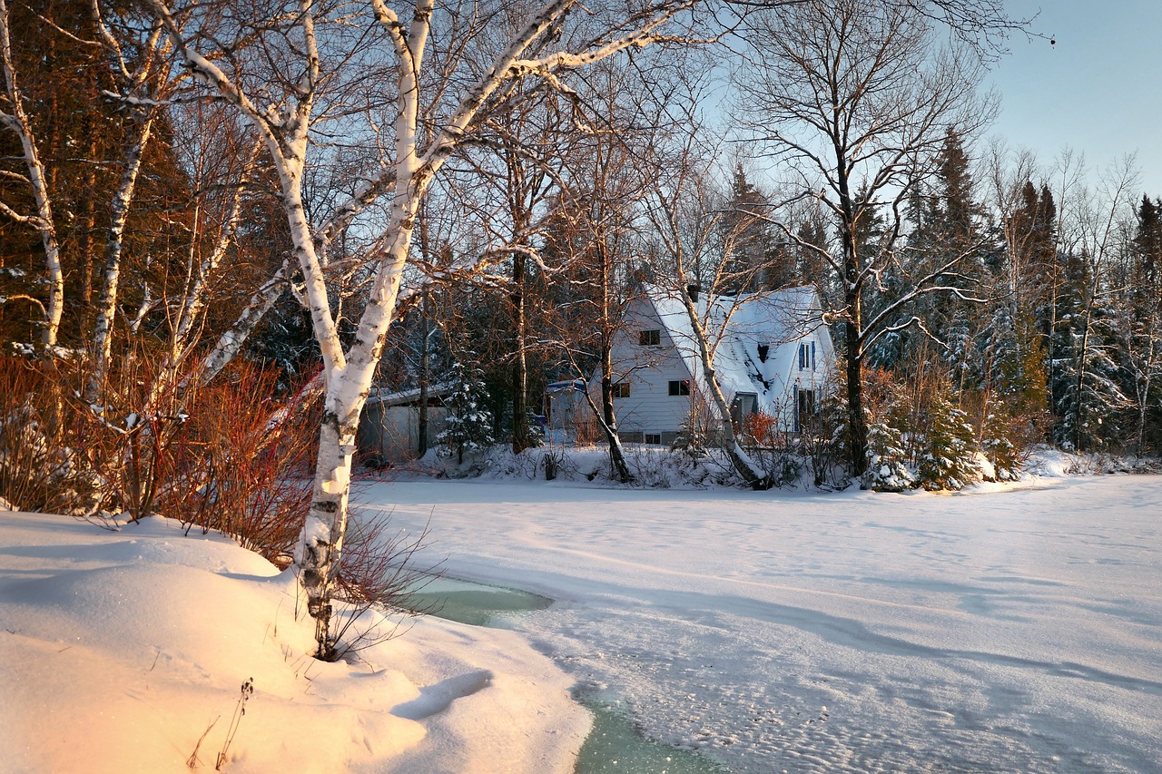 landscape, chalet, winter-4655698.jpg