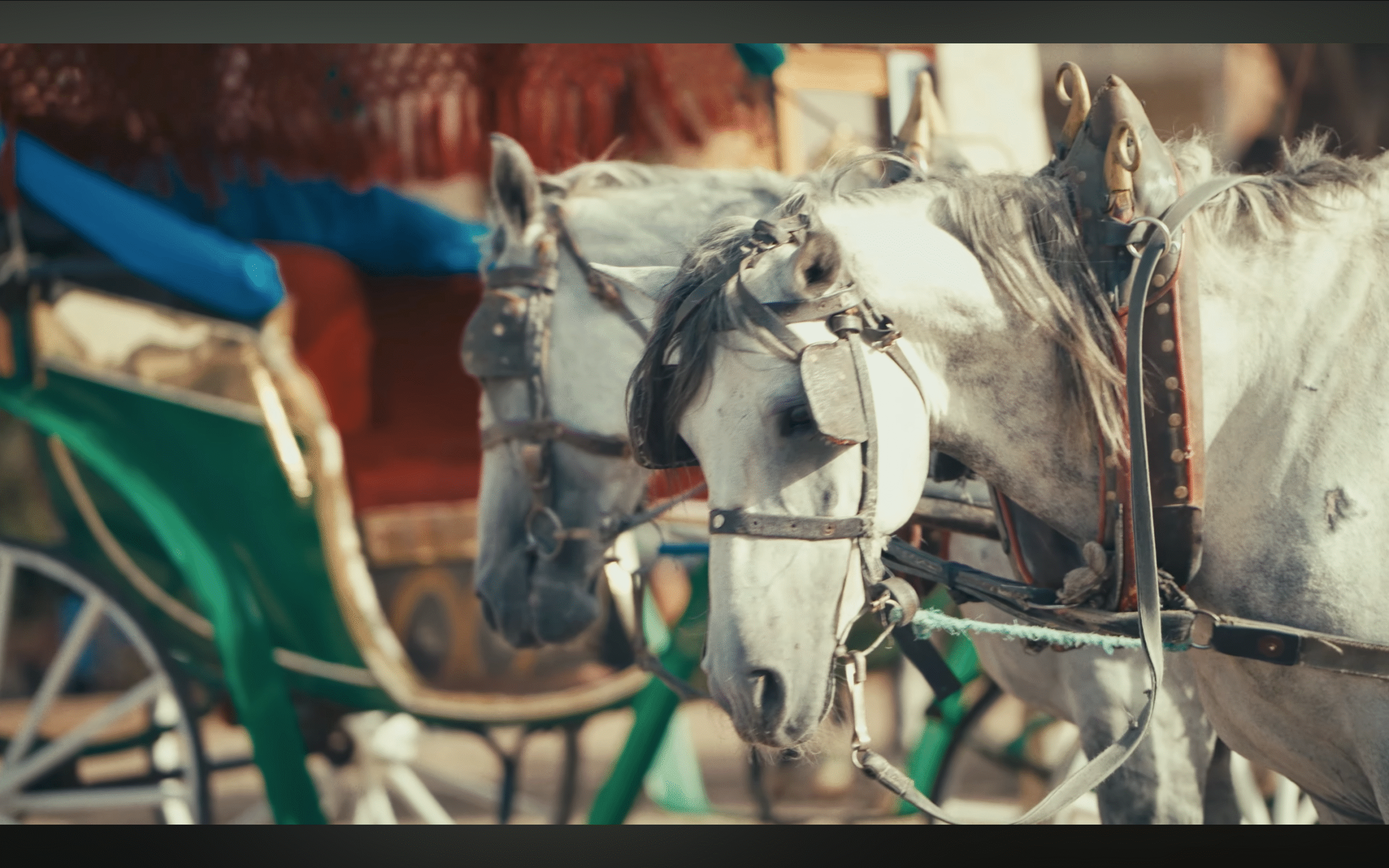 Screenshot 2025-Chalaba clip pictures 5